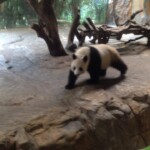 10384894_10152512740045729_4193744016313022480_n