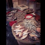 10390281_798137430197591_6320425109823069778_n