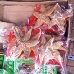 10391463_10203628149325263_8731562056318840446_n