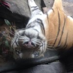 10426281_10152512740995729_1951686175532647378_n